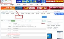 com域名准确删除时间怎么查？