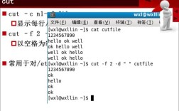 mac shell终端命令有哪些常用技巧？