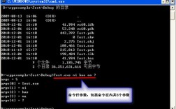 VS命令行参数如何正确设置？