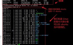 Docker容器内命令调用为何受限？
