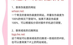 如何高效精准查看网站反链？