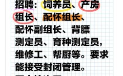 丁磊猪场为何突然招聘？