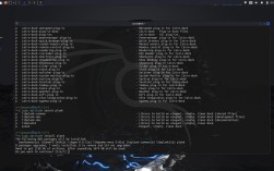 kali查看ip命令有哪些？