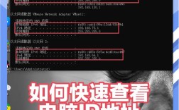 如何快速查到网站的主机信息？
