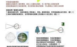 三年级学生如何讲透视