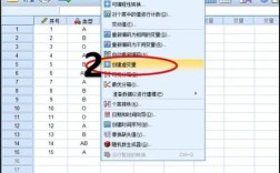 SPSS编程命令如何快速入门？