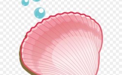 AI如何制作贝壳型?关键步骤是什么?