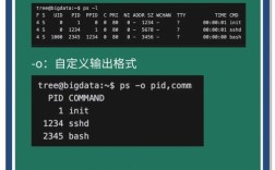 PS图像居中命令在哪？如何快速居中？