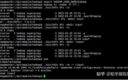 如何运行Hadoop命令？
