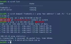 命令行如何自动获取IP地址？