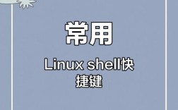 Shell命令行快捷键有哪些实用技巧？