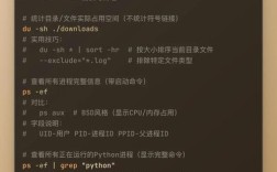 终端命令如何快速上手？