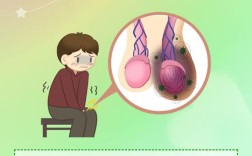 牦牛睾丸胶囊具体用法用量是多少？