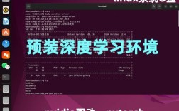 Linux命令行如何操作U盘？