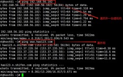 命令配置虚拟机网络，具体步骤是什么？