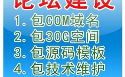 如何在dz论坛门户页面模板上插入视频