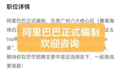 阿里招聘攻略，如何高效拿到offer？