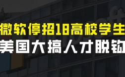 微软招聘高校，目标人才是哪些？