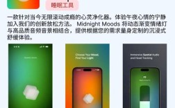 有哪些可以搭建网站的app