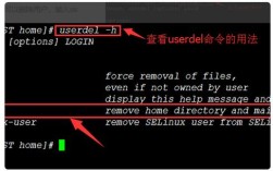 Linux命令如何快速清空文件内容?