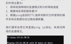 网络命令外壳是什么？
