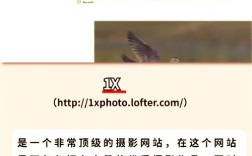 网站摄影如何拍出专业感与吸引力?