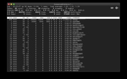 Linux资源监控命令有哪些常用选项?