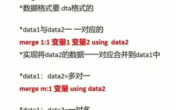 Stata函数命令有哪些常用语法与参数？