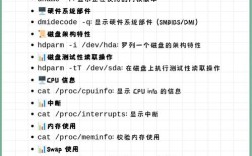 Linux常用命令如何准确翻译？