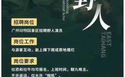 老虎游招聘什么岗位？
