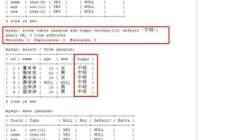 SQL连接数据库命令有哪些核心参数？