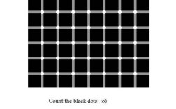 栅格错觉动画如何画？关键步骤是什么？