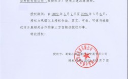 专项授权书填写关键点有哪些？