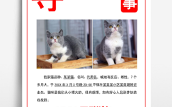 社区猫 招聘，社区猫招聘，是为啥招员工呀？