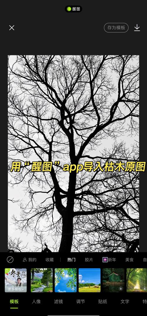ps如何让一棵树出现人脸的轮廓-图1 ps如何让一棵树出现人脸的轮廓-图1