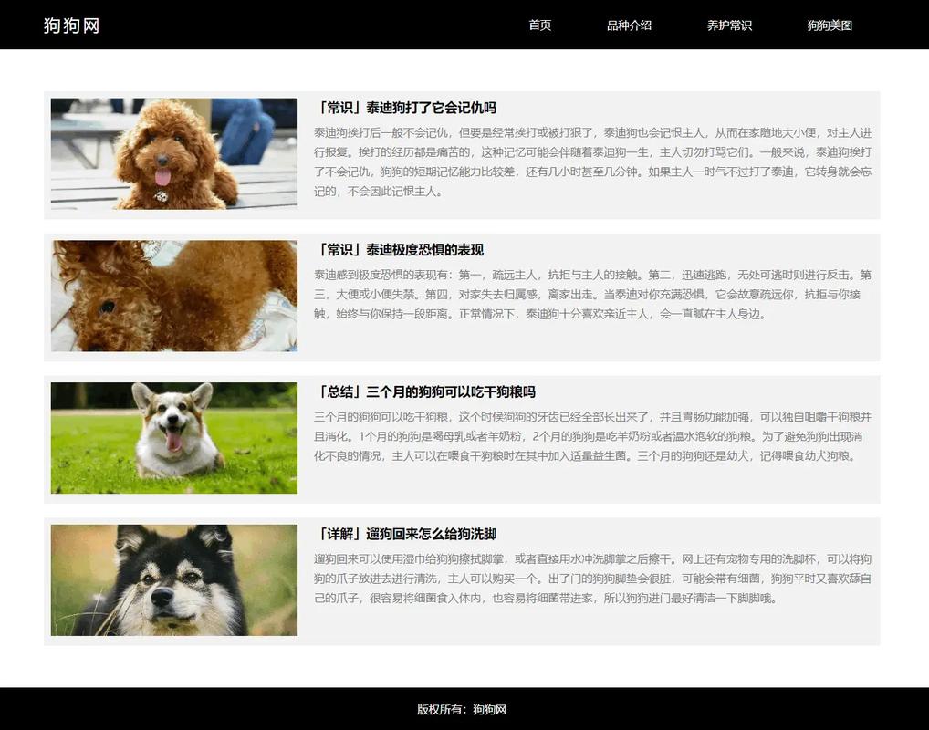 如何用源码搭建网站源码-图3 如何用源码搭建网站源码-图3