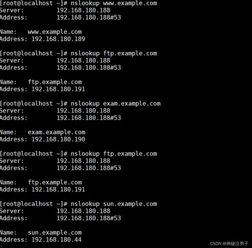 linux搭建dns服务器详细教程-图2 linux搭建dns服务器详细教程-图2