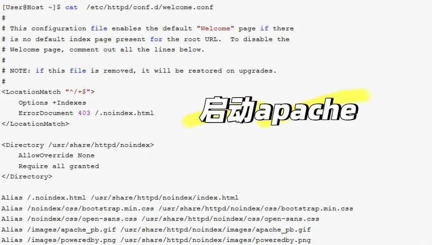 linux搭建dns服务器详细教程-图1 linux搭建dns服务器详细教程-图1