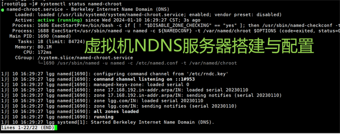 linux搭建dns服务器详细教程-图1 linux搭建dns服务器详细教程-图1