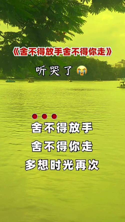 如何几张照片放一首歌-图2