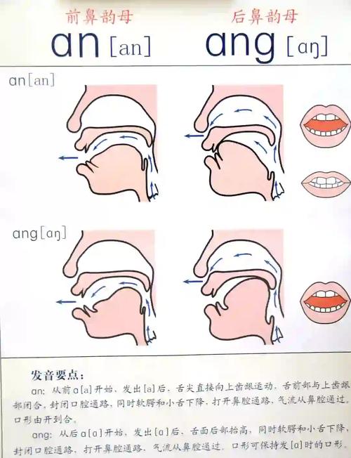 ton9ton9的声音如何写-图2