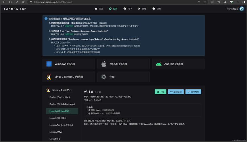 搭建网站后的网址-图1 搭建网站后的网址-图1