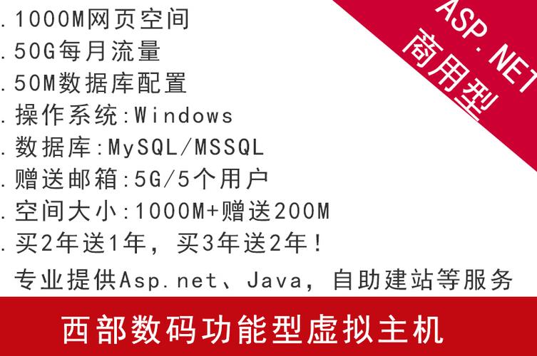 虚拟主机怎么搭建网页-图2