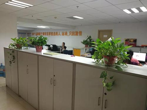 临沂h5游戏搭建公司-图3