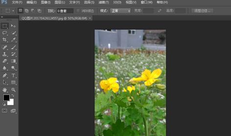 ps cs6 如何把图片背景变为黑色-图2
