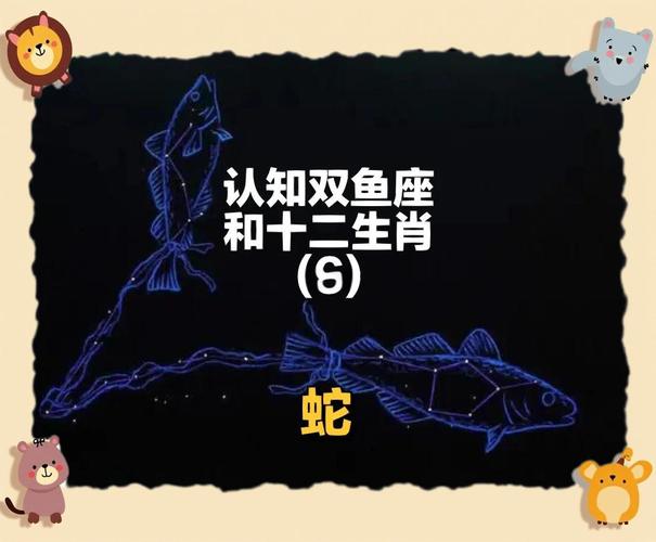 属蛇的双鱼座人性格如何-图2