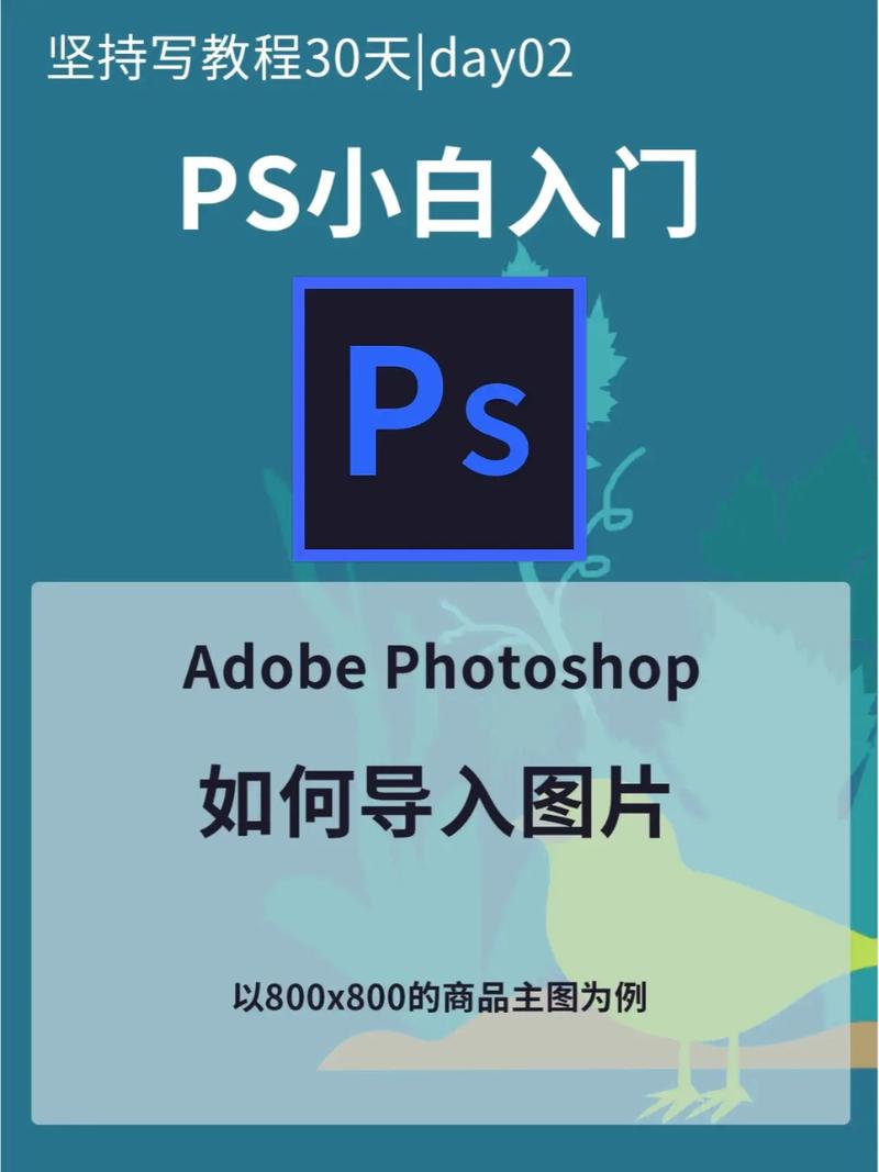 如何把手画的画导入PS里画-图2 如何把手画的画导入PS里画-图2