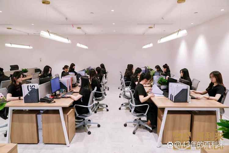 长沙网站搭建工作室-图2 长沙网站搭建工作室-图2