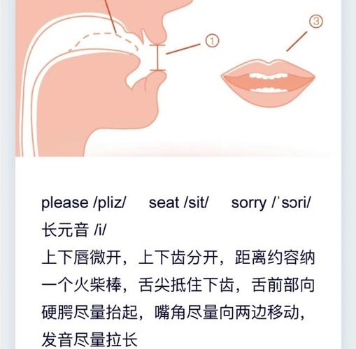 如何教授学生发音辅音p和d-图1 如何教授学生发音辅音p和d-图1