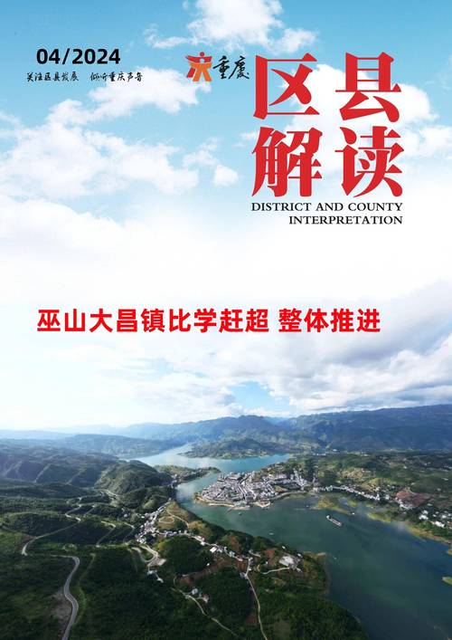 巫山谁搭建网站-图2